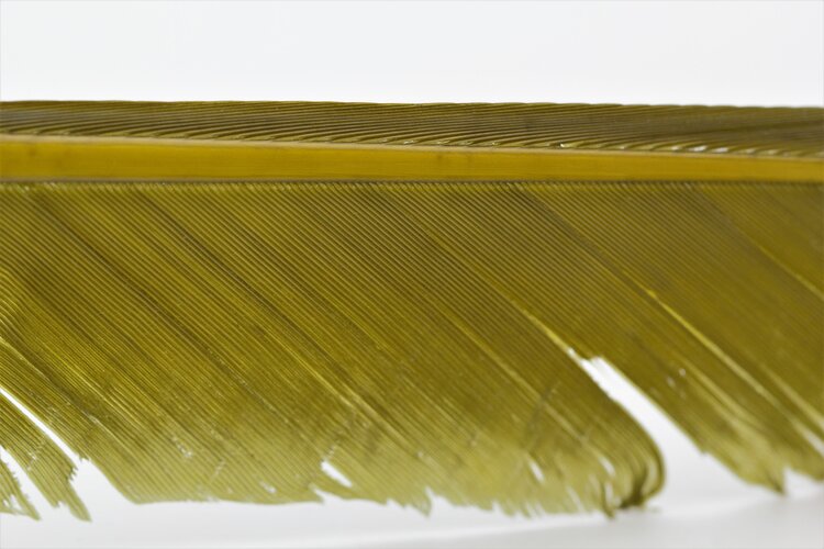 Hareline Dubbin TURKEY BIOTS