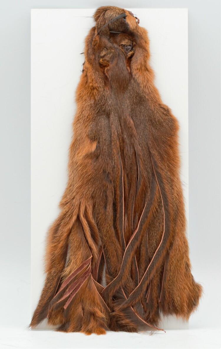 Wapsi WAPSI PINE SQUIRREL SKIN ZONKED