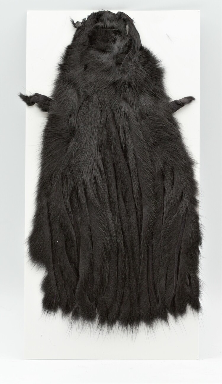 Wapsi WAPSI PINE SQUIRREL SKIN ZONKED