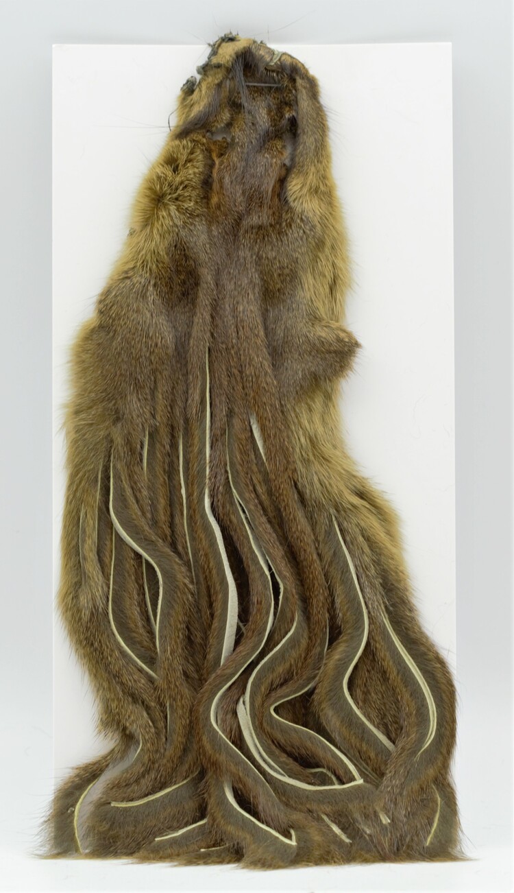 Wapsi WAPSI PINE SQUIRREL SKIN ZONKED
