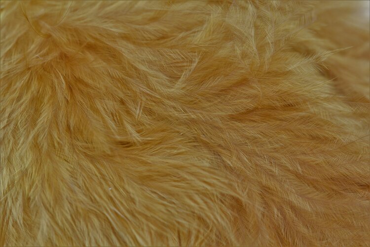 Wapsi WAPSI WOOOLY BUGGER MARABOU