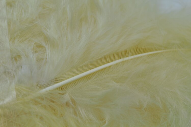 Wapsi WAPSI WOOOLY BUGGER MARABOU