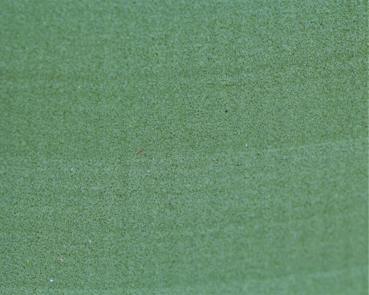 Wapsi WAPSI RAZOR FOAM