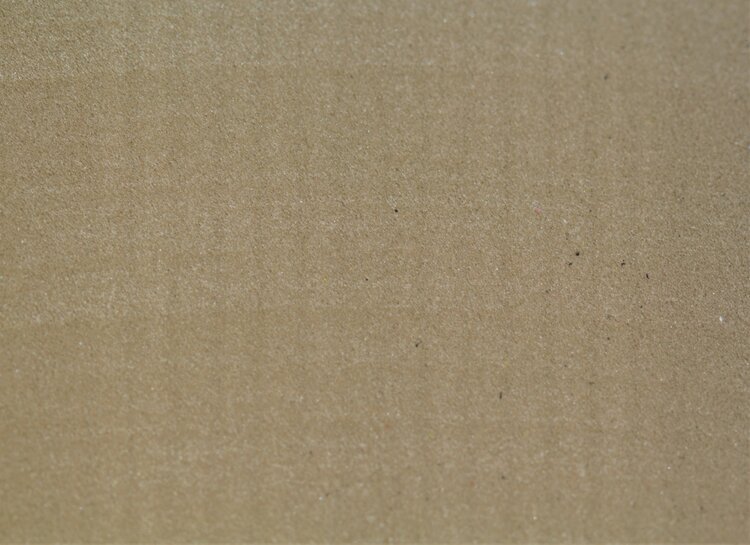 Wapsi WAPSI RAZOR FOAM