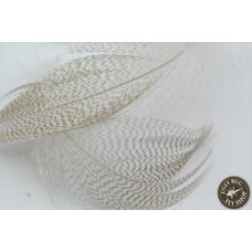 NATURE'S SPIRIT NATURE'S SPIRIT MALLARD FLANKS