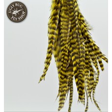 Whiting Farms Inc. WHITING SCHLAPPEN 6-10" DYED