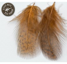 HARELINE HUNGARIAN PARTRIDGE FEATHERS