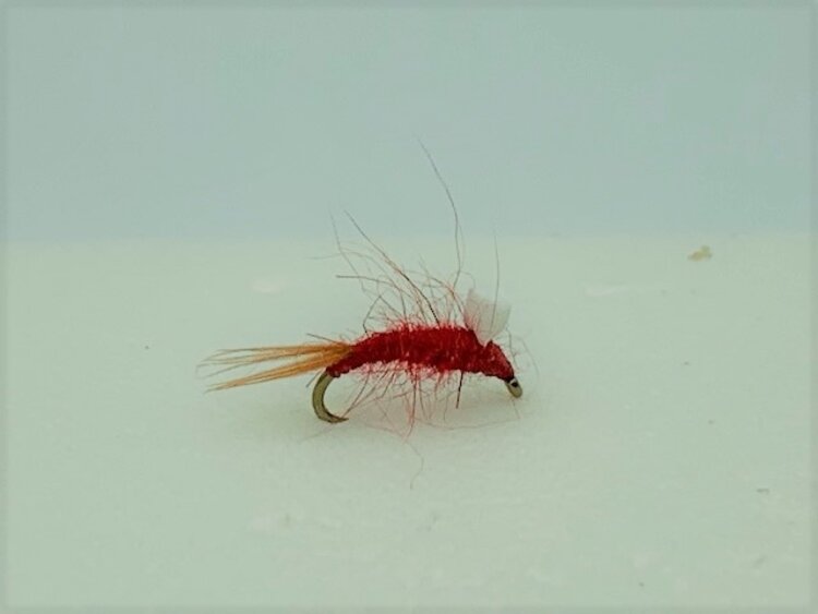 Ugly Bug Fly Shop Foam Back RS2