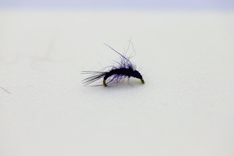 Ugly Bug Fly Shop Foam Back RS2