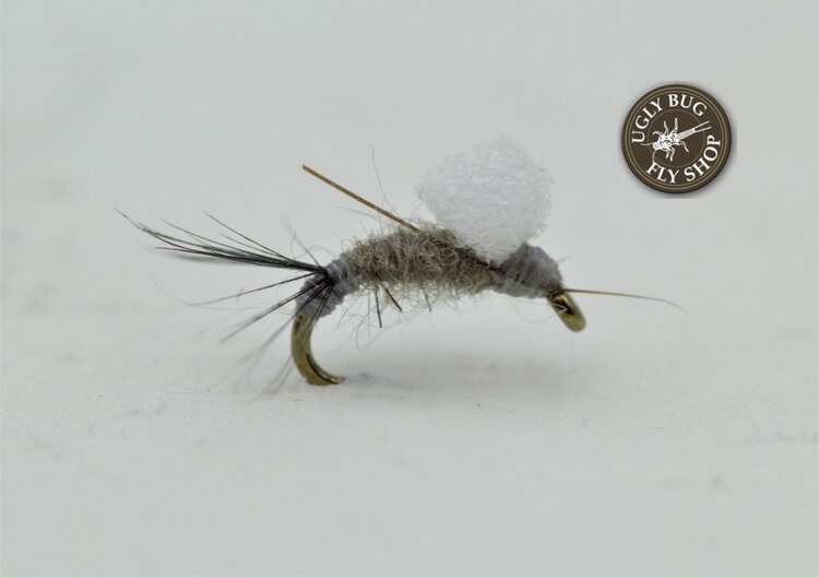 Ugly Bug Fly Shop Foam Back RS2