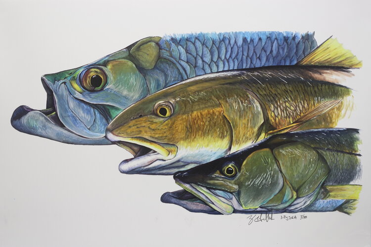 Ty Outdoors TY HALLOCK PRINTS