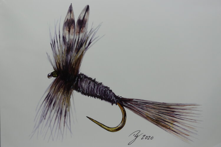 Ty Outdoors TY HALLOCK PRINTS