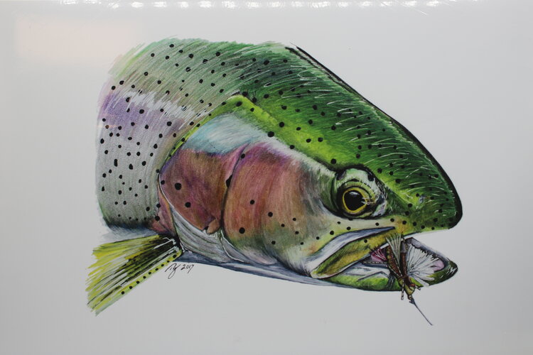 Ty Outdoors TY HALLOCK PRINTS