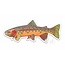 CASEY UNDERWOOD Golden Trout Decal by Casey Underwood