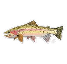 Cutbow Trout Decal by Casey Underwood
