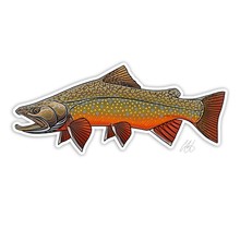 Brook Trout Decal by Casey Underwood