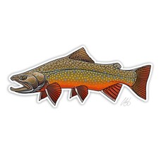 CASEY UNDERWOOD Brook Trout Decal by Casey Underwood