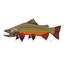 CASEY UNDERWOOD Brook Trout Decal by Casey Underwood