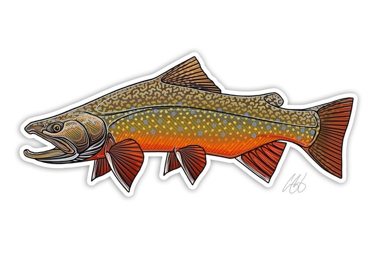 CASEY UNDERWOOD Brook Trout Decal by Casey Underwood