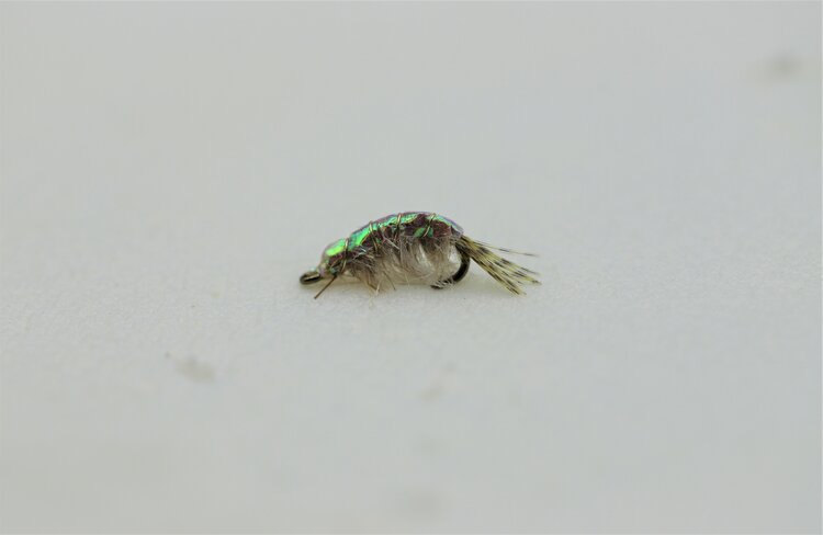 Solitude Fly Company Solitude Scud