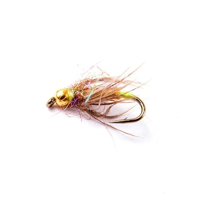 Ugly Bug Fly Shop N40 Caddis #16