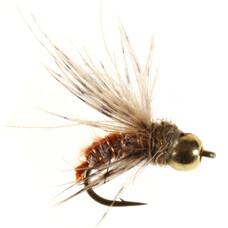 Ugly Bug Fly Shop ASCENDING CADDIS