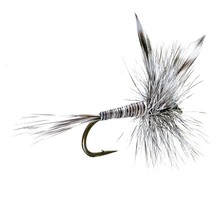MOSQUITO DRY FLY