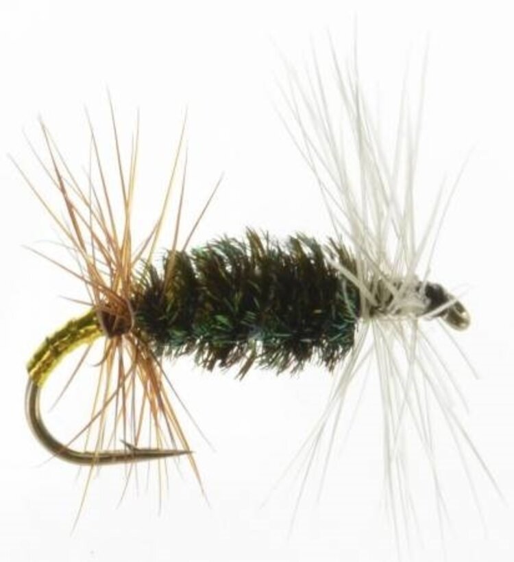 Montana Fly Company RENEGADE