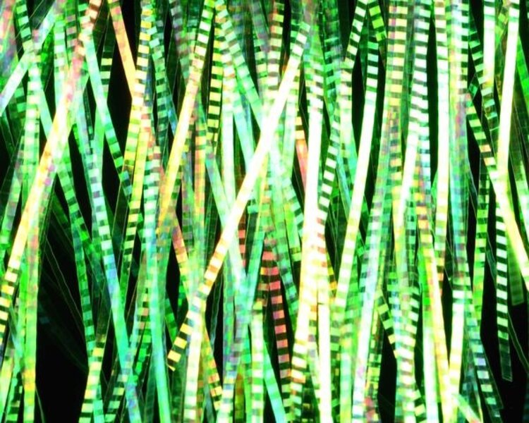 Hareline Dubbin HEDRON LATERAL SCALE