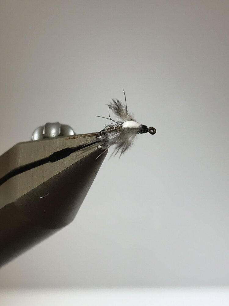 Ugly Bug Fly Shop Jackson's Macgruber Foam Back