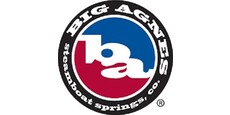 BIG AGNES