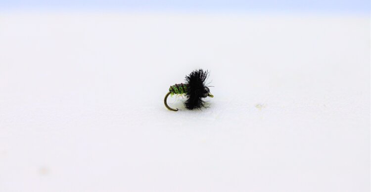 Ugly Bug Fly Shop W's C2 CADDIS