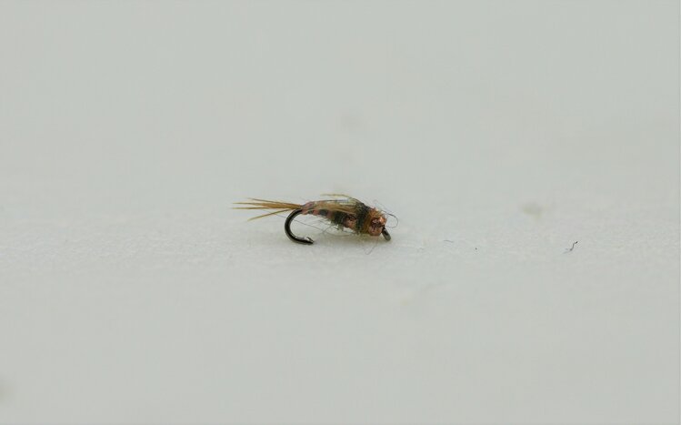 Ugly Bug Fly Shop TB HOOKER TAN #20