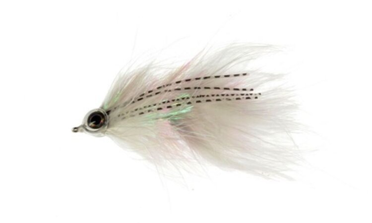 CATCH CATCH'S COUSIN IT