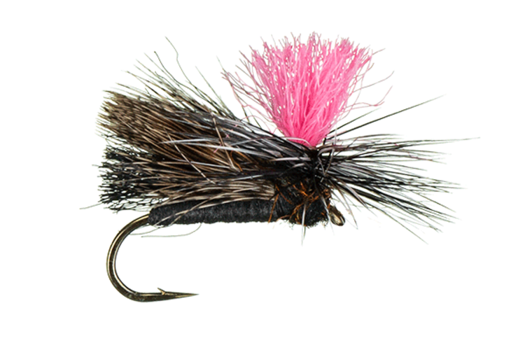 Montana Fly Company FOAMY FINFETCHER CADDIS
