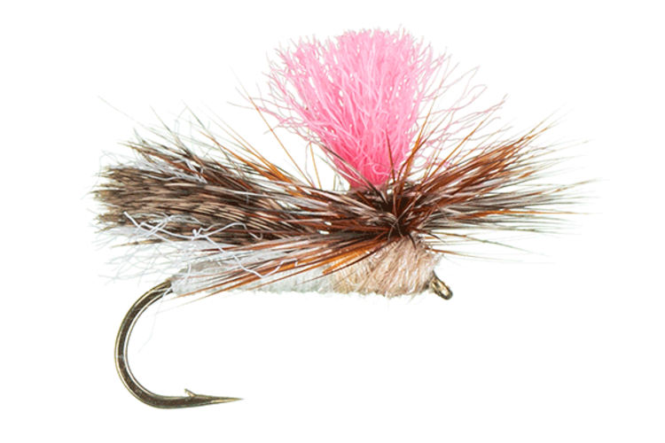 Montana Fly Company FOAMY FINFETCHER CADDIS
