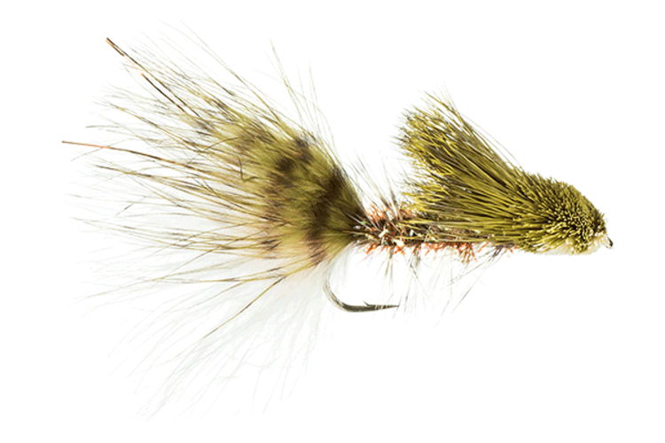 Montana Fly Company GALLOUP'S CACTUS WOOLY