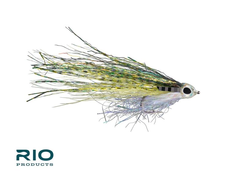 Rio RIO'S JUST KEEP SWIMMING