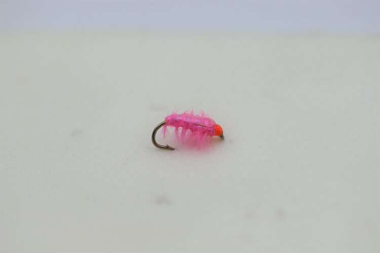 Ugly Bug Fly Shop UV Eddie Vedder