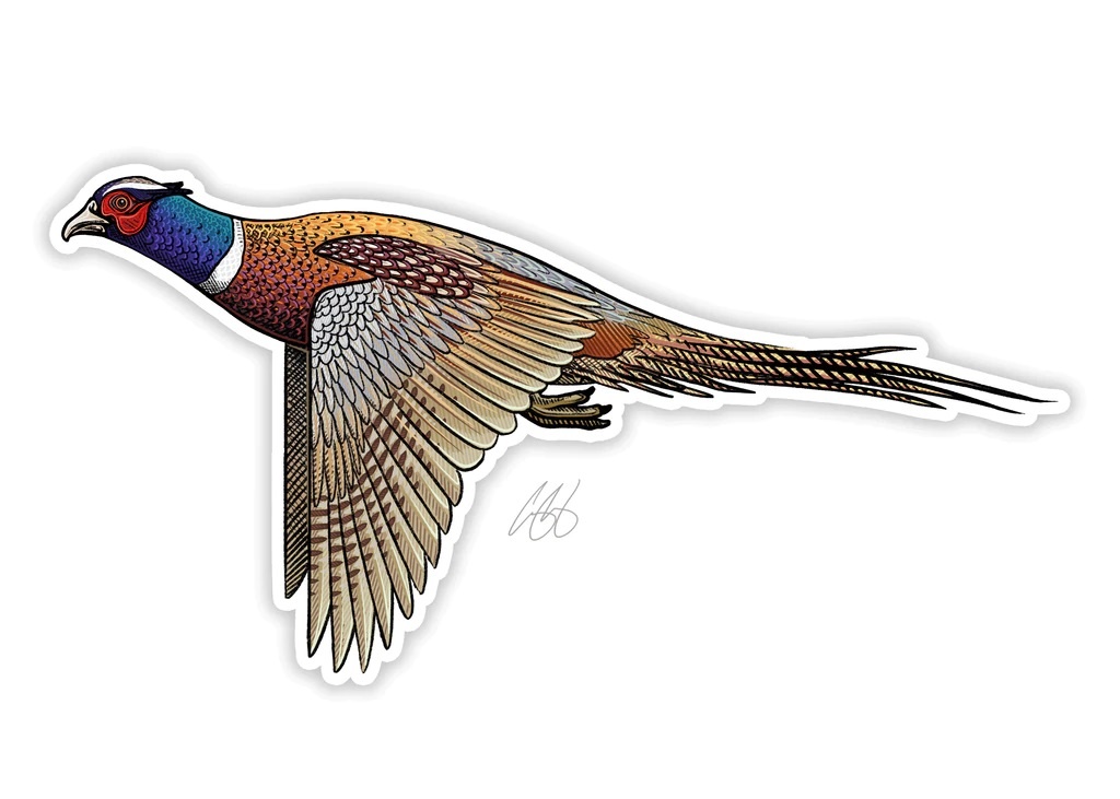 Pheasant Decal by Casey Underwood