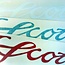 Scott SCOTT BOAT DECAL