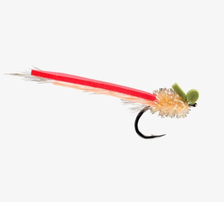 Rio RIO'S PALOLO 2/0