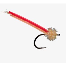 Rio RIO's PALOLO WORM