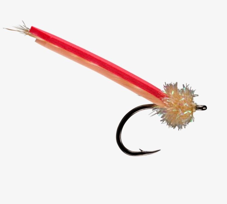 Rio RIO's PALOLO WORM