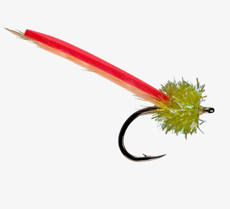 Rio RIO's PALOLO WORM