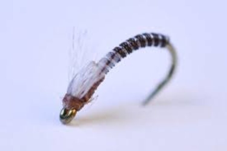 Umpqua Feather Merchants Jujubee  Midge