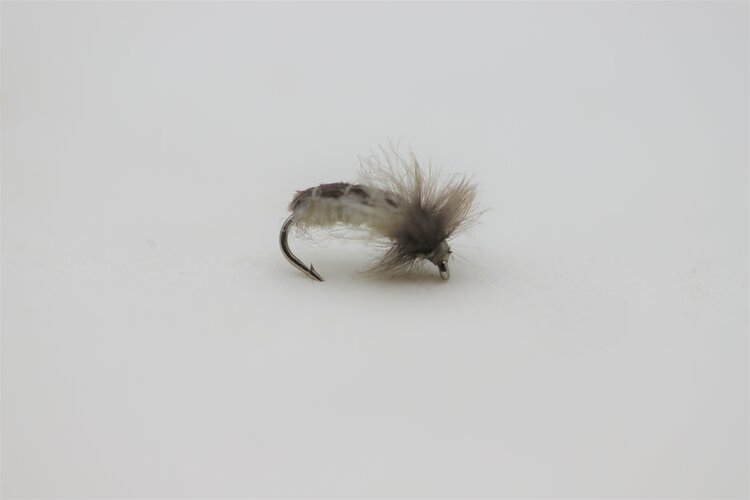 Ugly Bug Fly Shop W's C2 CADDIS