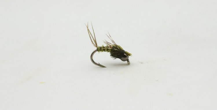 Ugly Bug Fly Shop BIOTIC NYMPH OLIVE #16