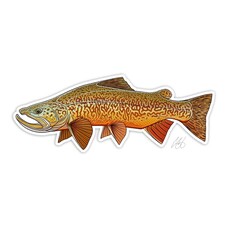 CASEY UNDERWOOD TIGER TROUT DECAL CASEY UNDERWOOD