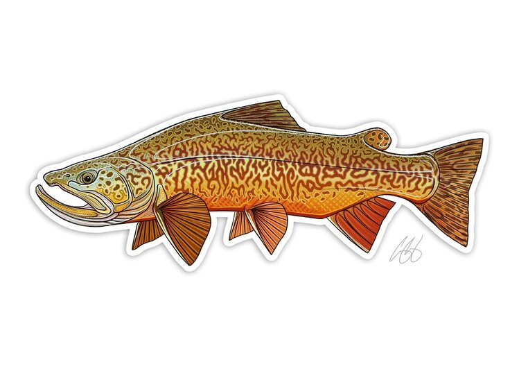 CASEY UNDERWOOD TIGER TROUT DECAL CASEY UNDERWOOD